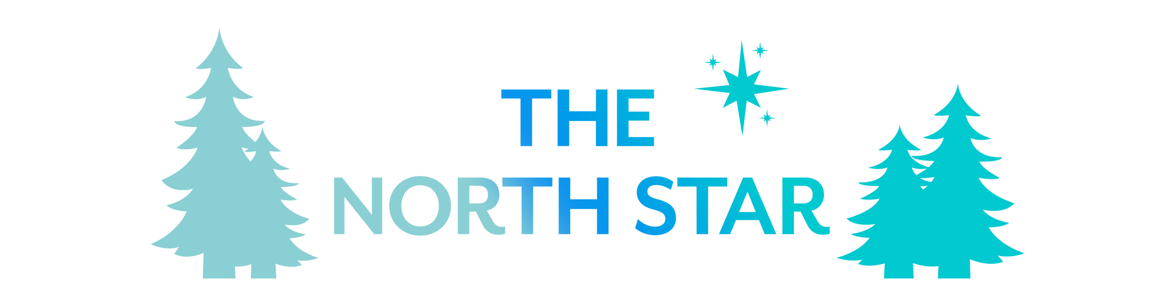 The North Star
